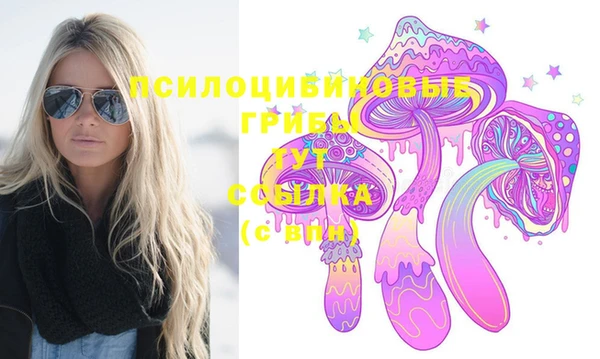 прущий лед Белокуриха