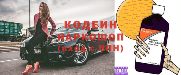 молекула духа Белоозёрский