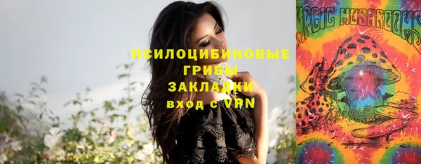 молекула духа Белоозёрский