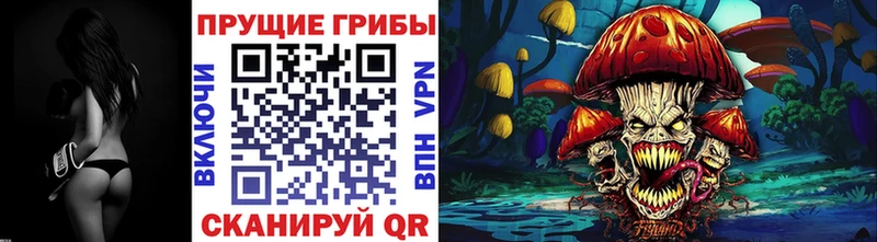 Псилоцибиновые грибы прущие грибы  Афипский 